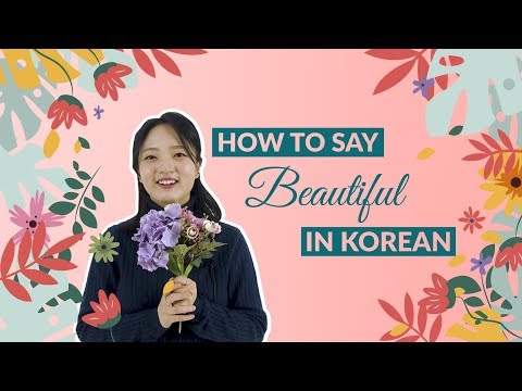 How to Say BEAUTIFUL in Korean | 90 Day Korean