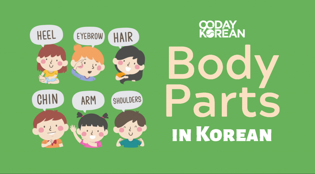 Body Parts in Korean