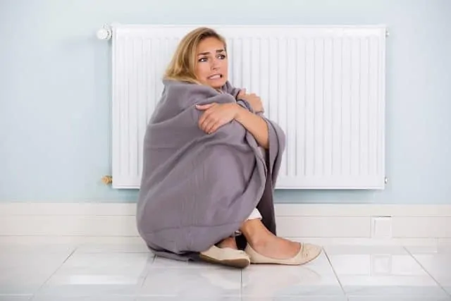 Young Cold Woman Wrapped In Blanket