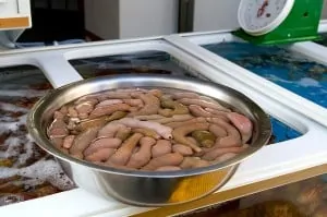 Gaebul (개불) – Live Spoon Worms in a silver bowl