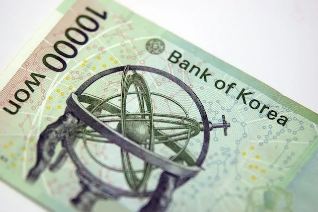 Korean Money 10000 won back