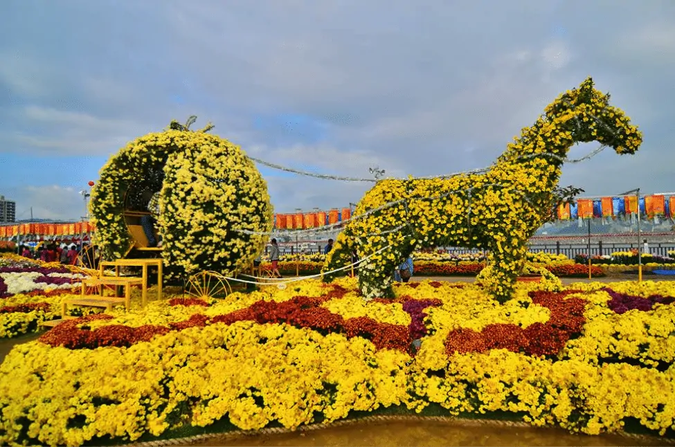 Masan Gagopa Chrysanthemum Festival