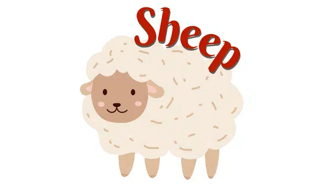 Korean Zodiac Sign: Sheep