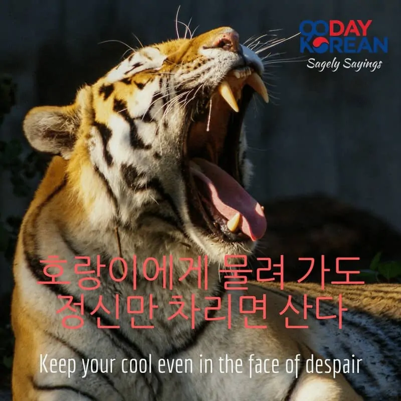 Keep your cool even in the face of despair