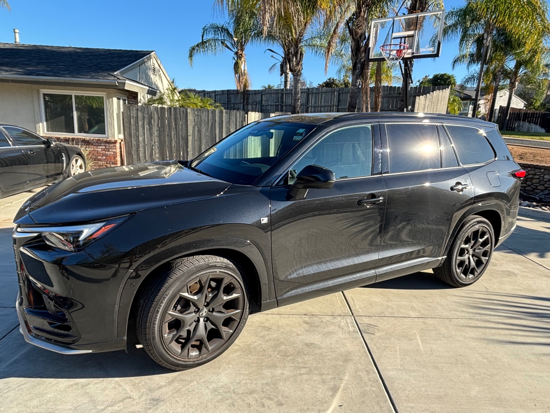 Lexus TX — Hand Wash & Wax  — before detailing, showing dirt and wear
