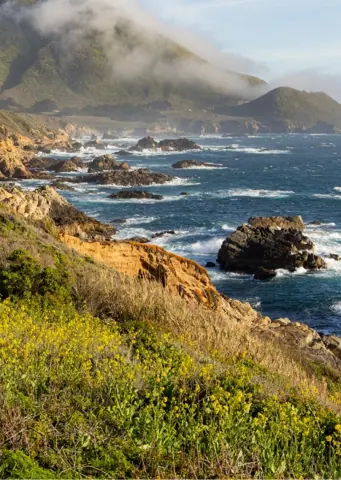 Mobile detailing service in Carmel Mountain, California